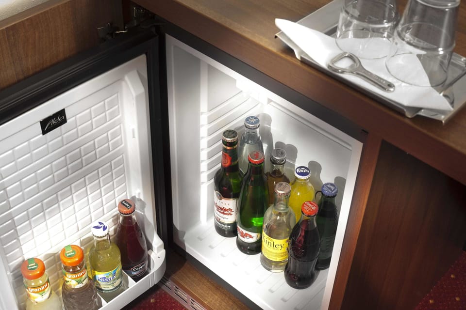 Mini-refrigerator