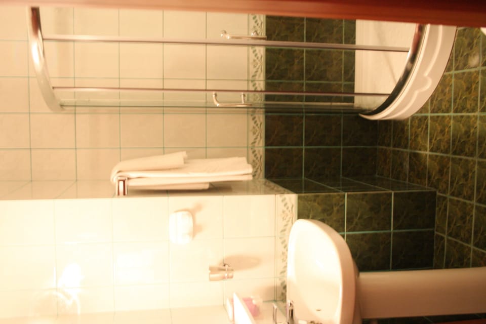 Single Room | Bathroom | Free toiletries, hair dryer