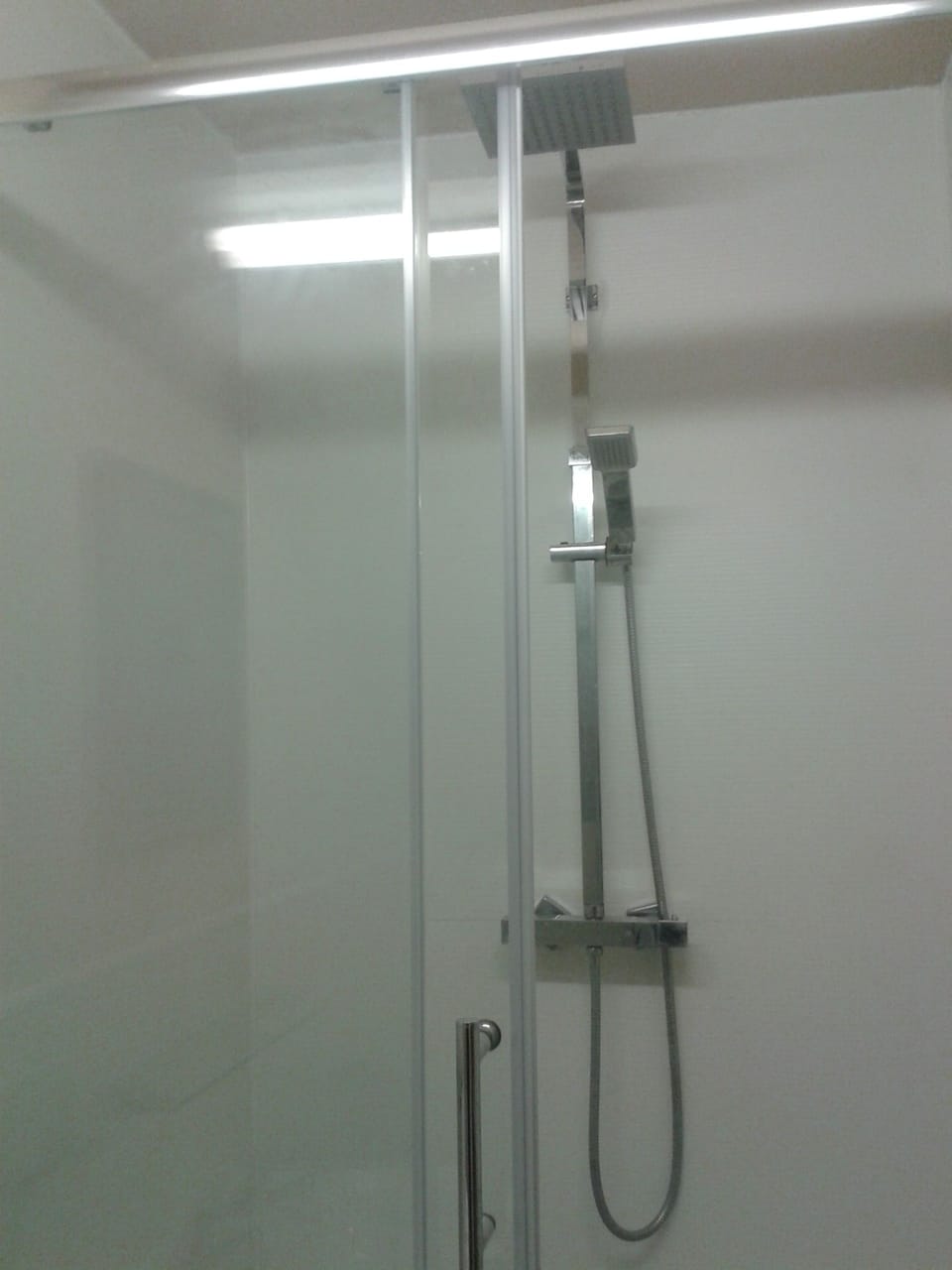 Shower, towels, toilet paper