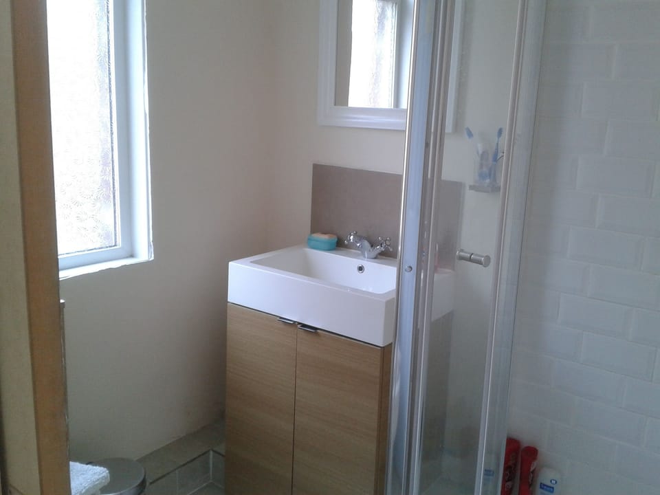 Shower, towels, toilet paper