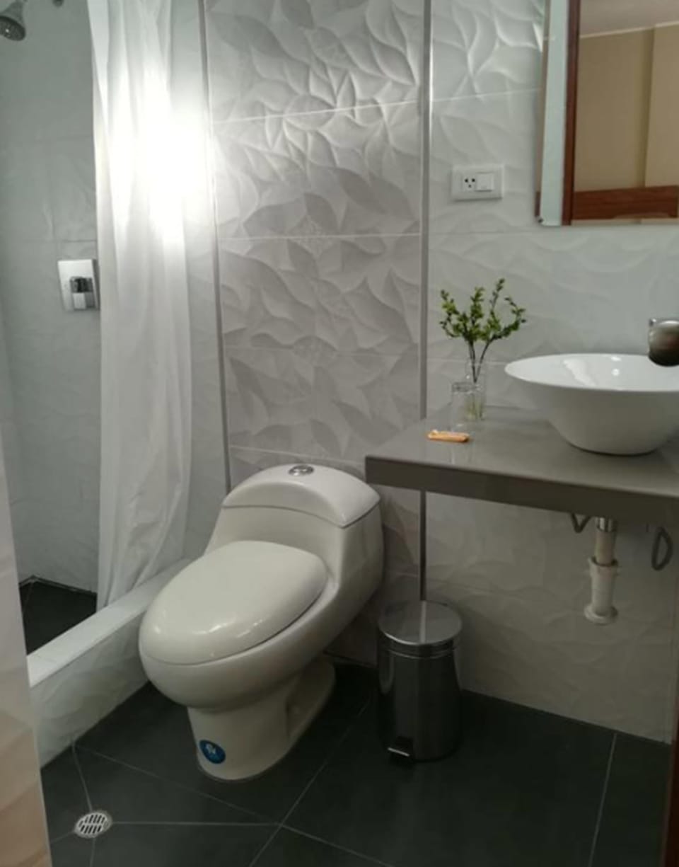 Shower, rainfall showerhead, towels, soap