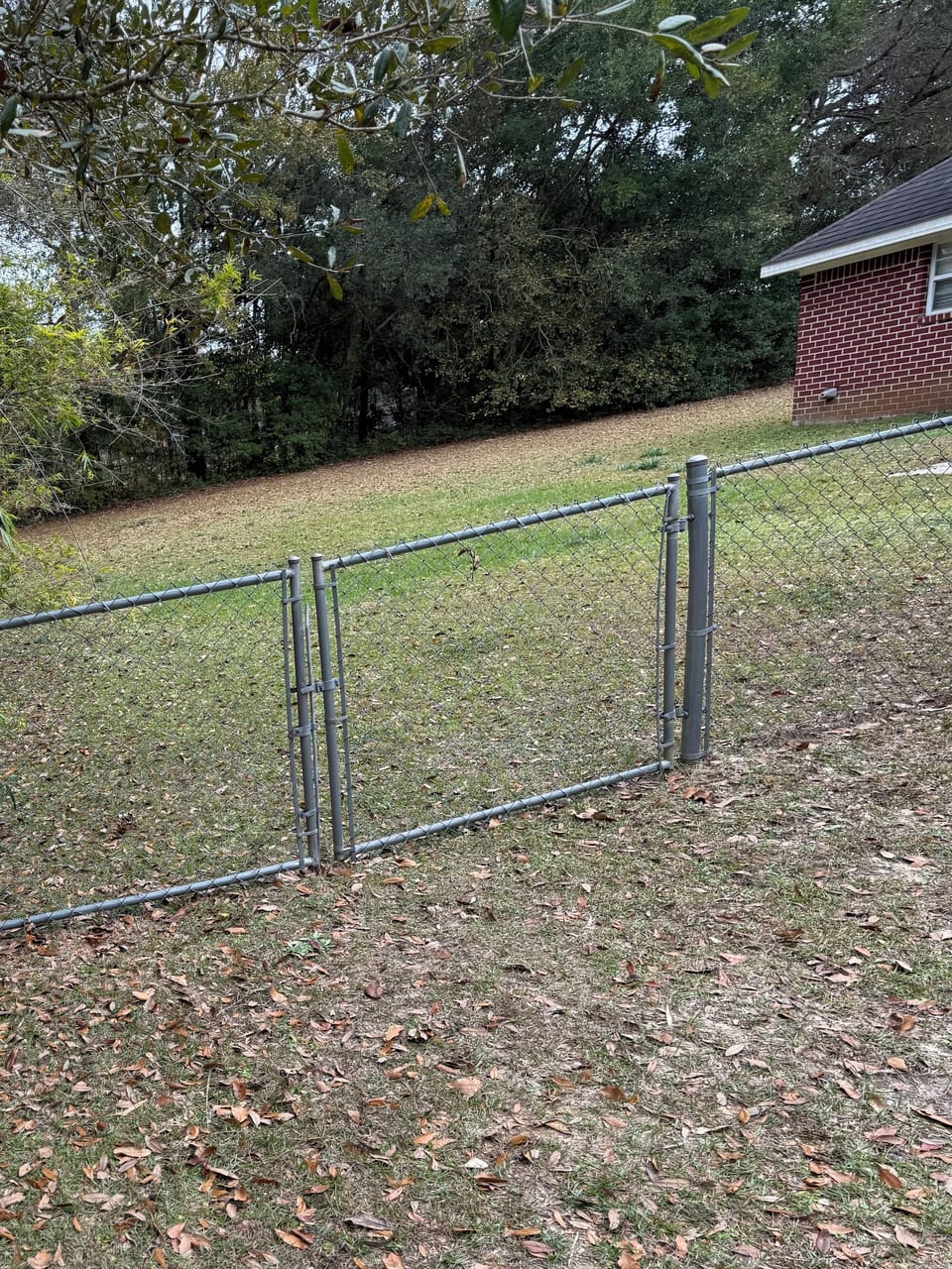 Back yard view from drive way.