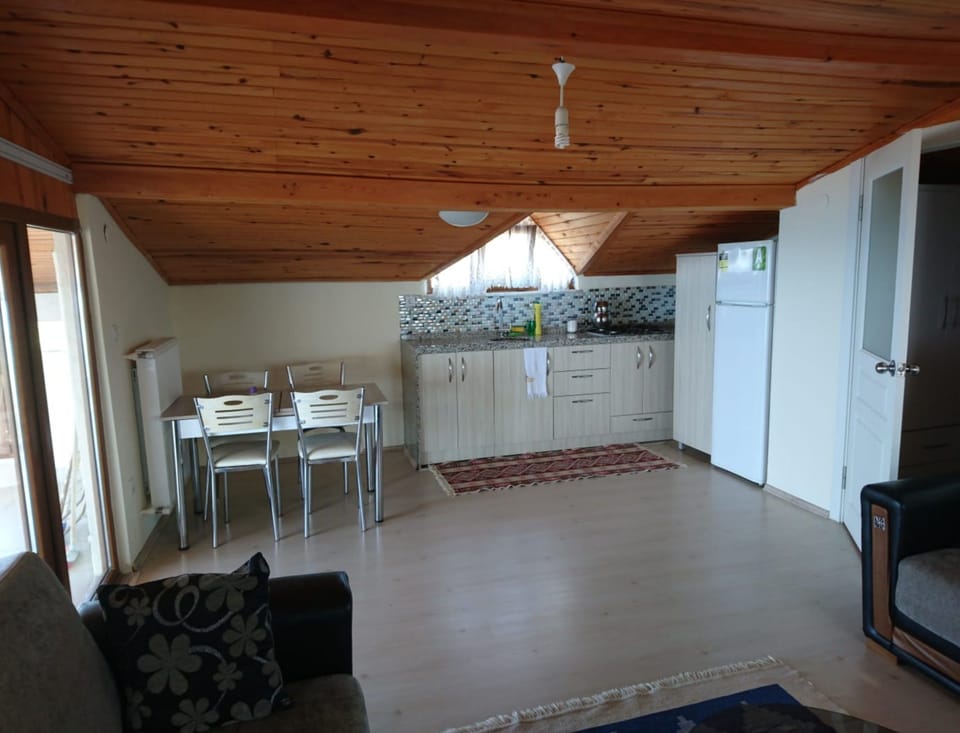 Standard Penthouse, Sea View | Private kitchenette | Fridge, stovetop, cookware/dishes/utensils