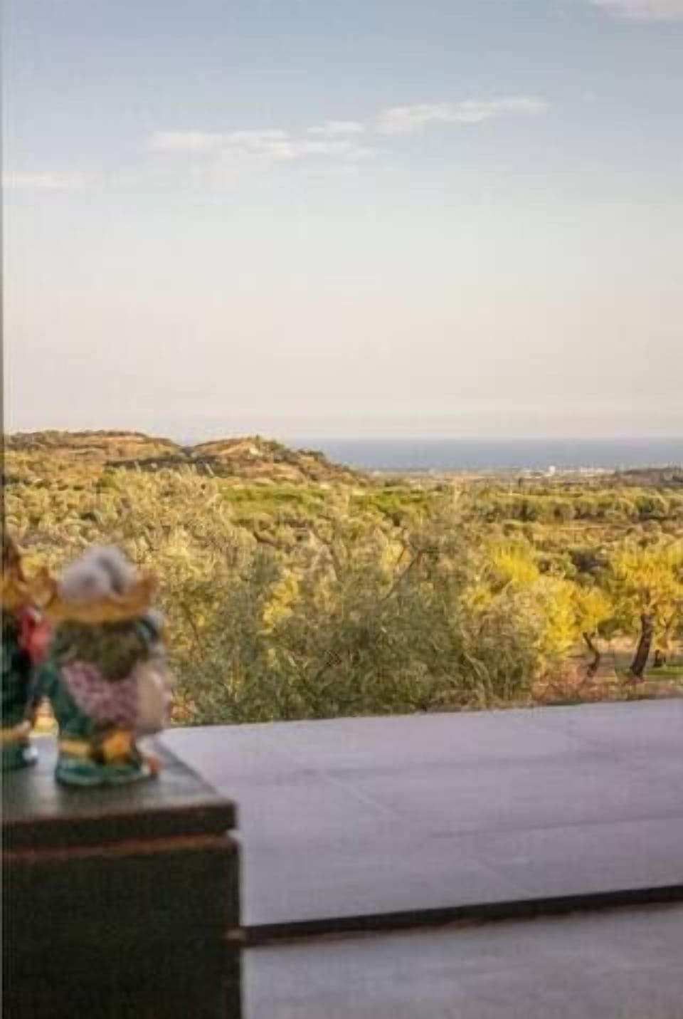 View from property