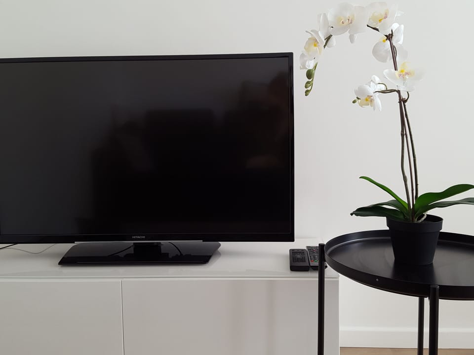 Television