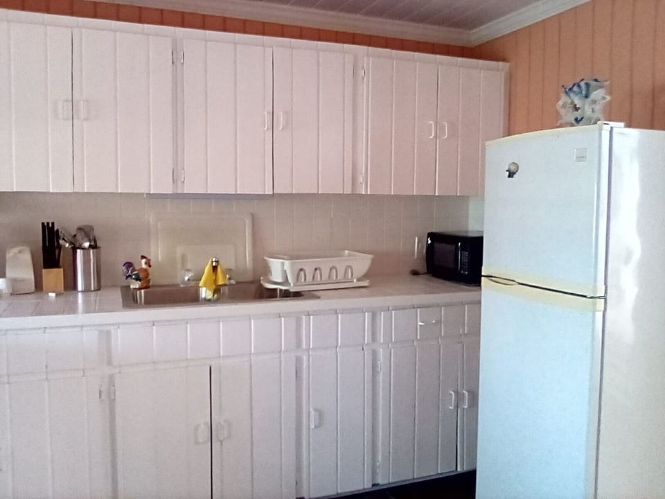 APARTMENT III KITCHEN/LIVING SPACE