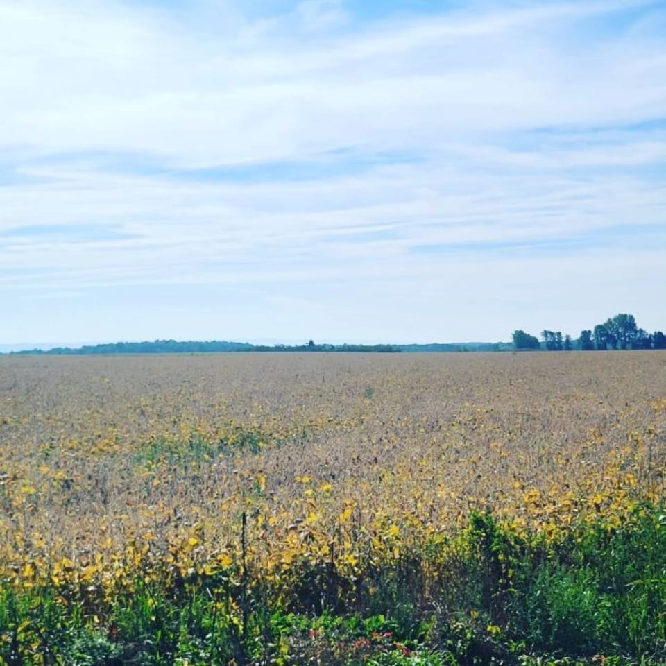 Beautiful scenery all around the lake