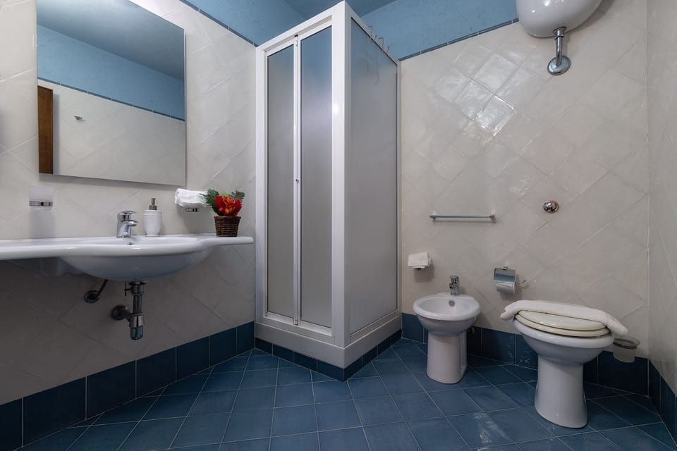 Shower, rainfall showerhead, hair dryer, bidet