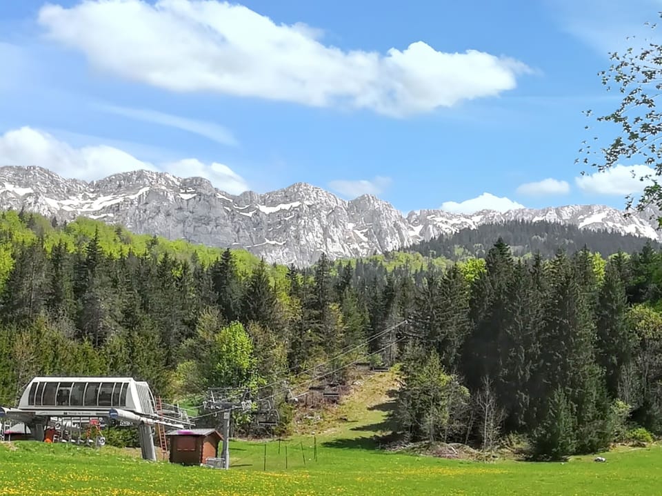 Mountain view