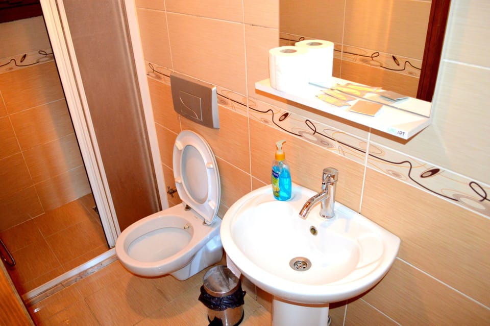 Shower, hair dryer, slippers, soap