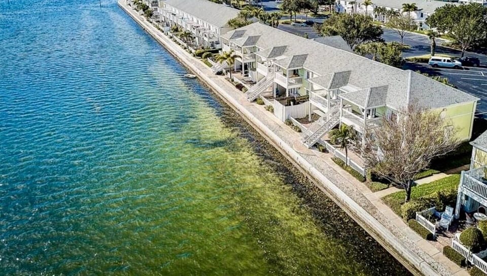 Our private patio is just 10 feet from the seawall and water