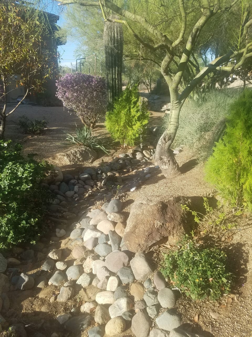 Property grounds