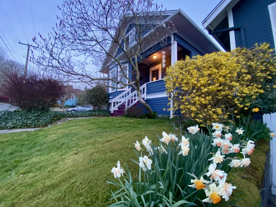 Spring is in the air (late March).