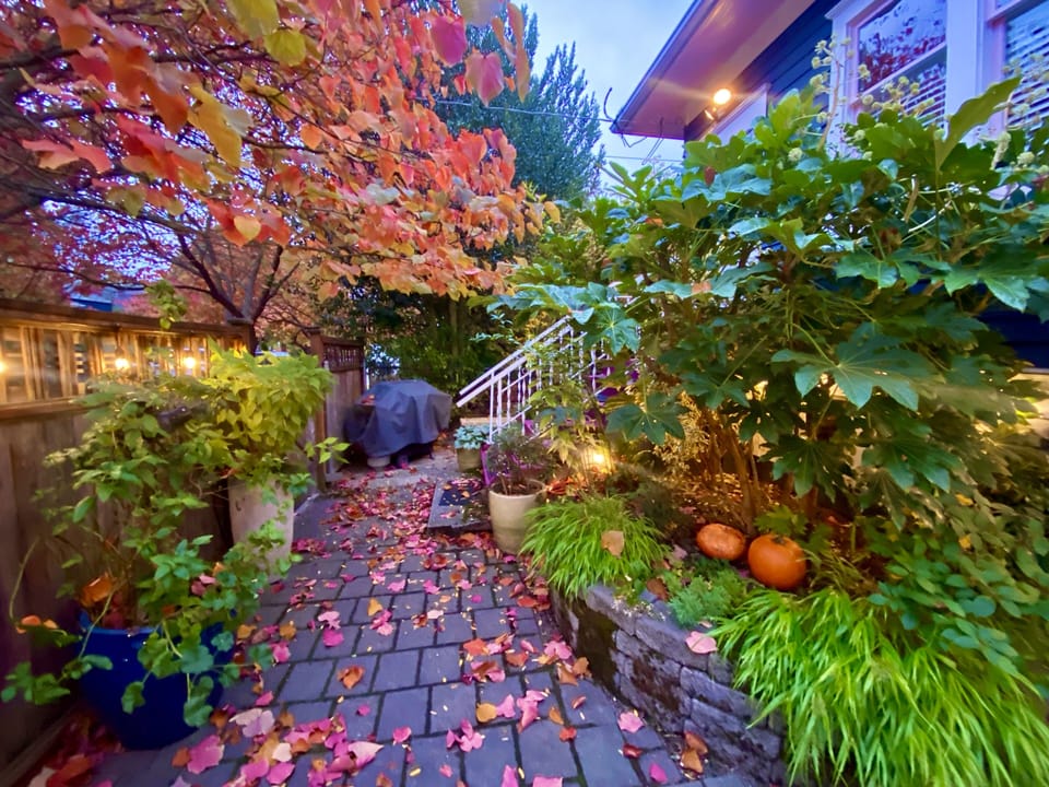 Fall at Boutique Chic Garden Retreat.