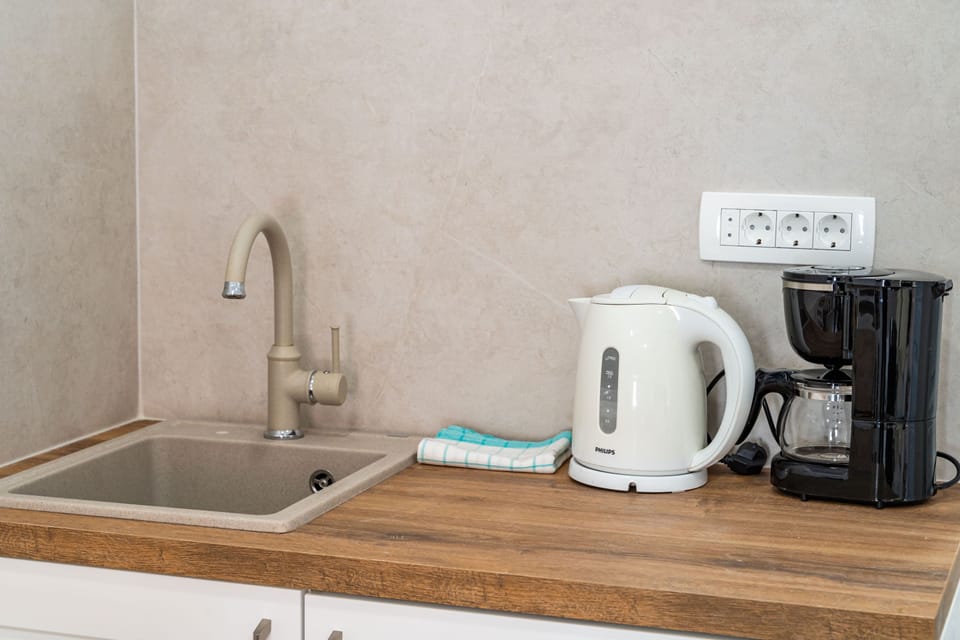 Double room | Private kitchen | Fridge, coffee/tea maker, electric kettle, cookware/dishes/utensils