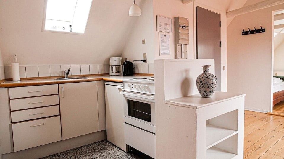 Hotel Apartment | Private kitchen | Coffee/tea maker, electric kettle