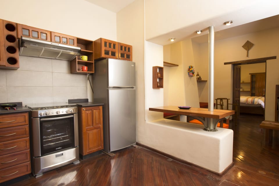 Gas stove with oven and fridge