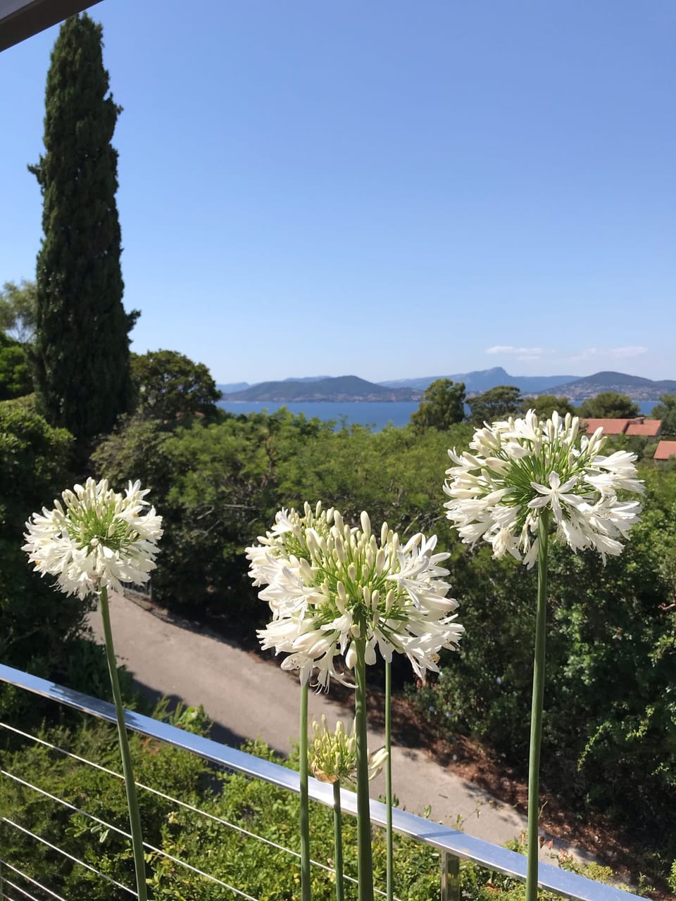 View from property