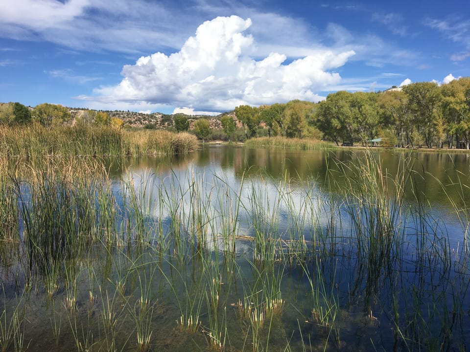 The beautiful, peaceful lagoons at Dead Horse Ranch State Park, near Cottonwood.