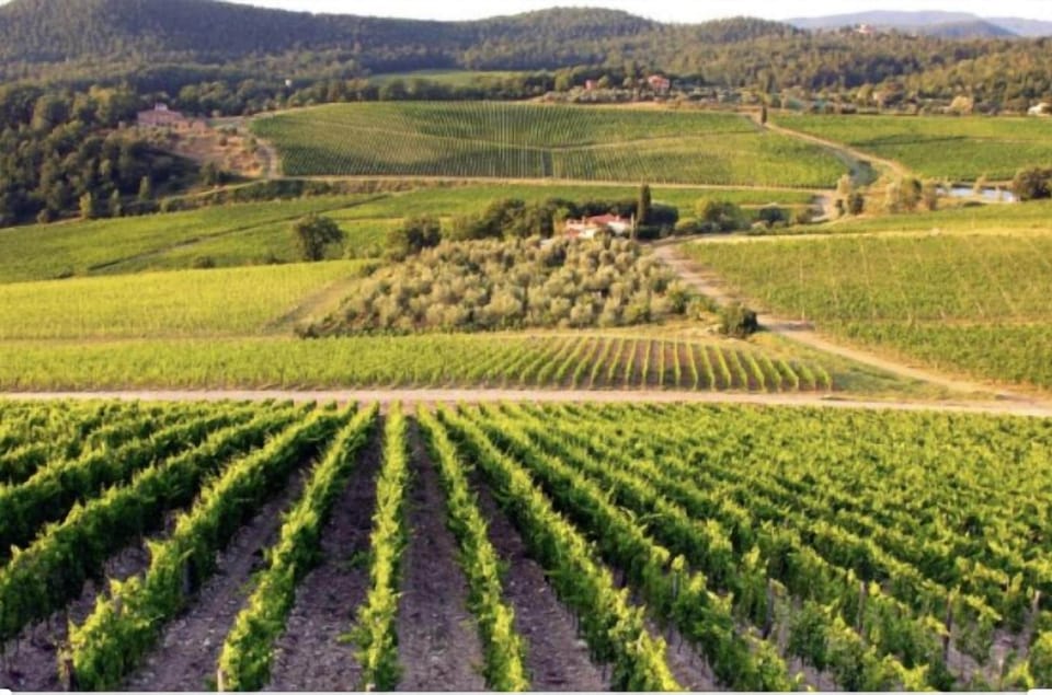 Winery