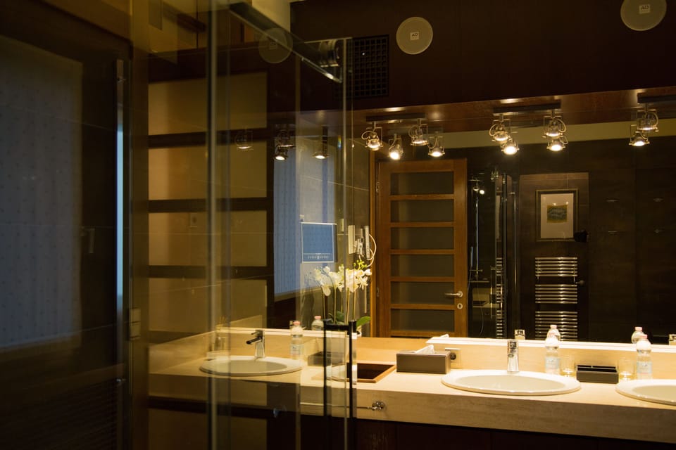 Deluxe Double Room, 1 Queen Bed with Sofa bed (201) | Bathroom | Shower, free toiletries, hair dryer, bidet