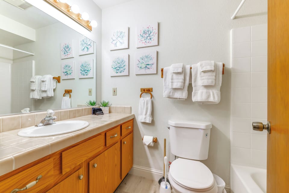Bathroom | Complimentary Toiletries