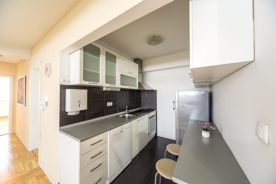 Premium Apartment | Private kitchen | Mini-fridge, electric kettle, toaster, paper towels