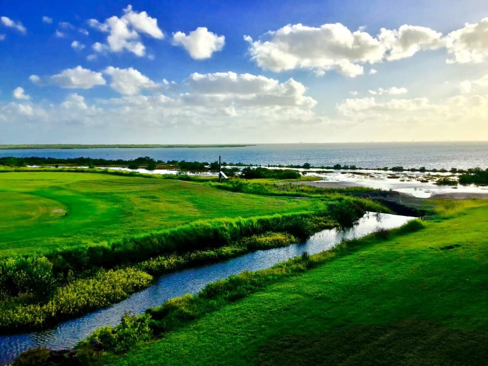 Balcony View of the Bay