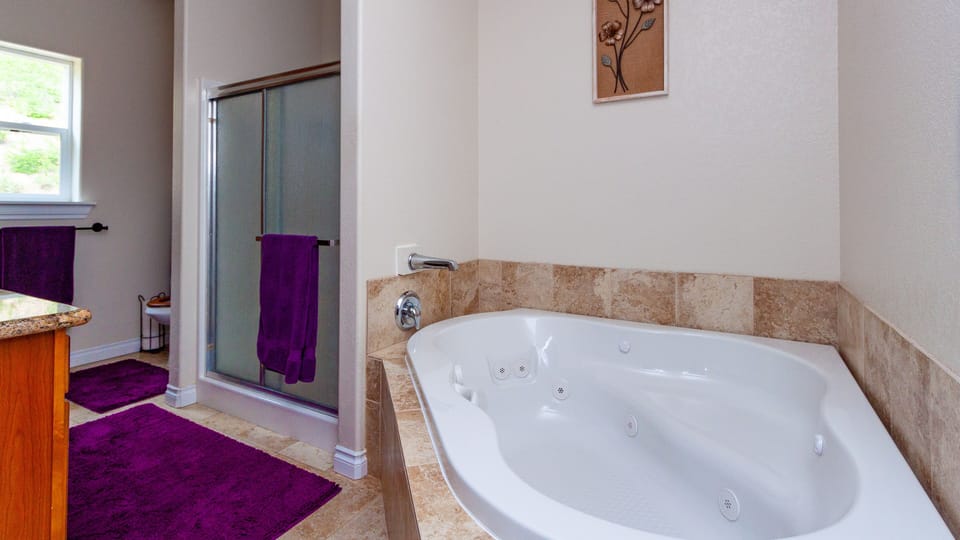 Masters bathroom with a jet tub.