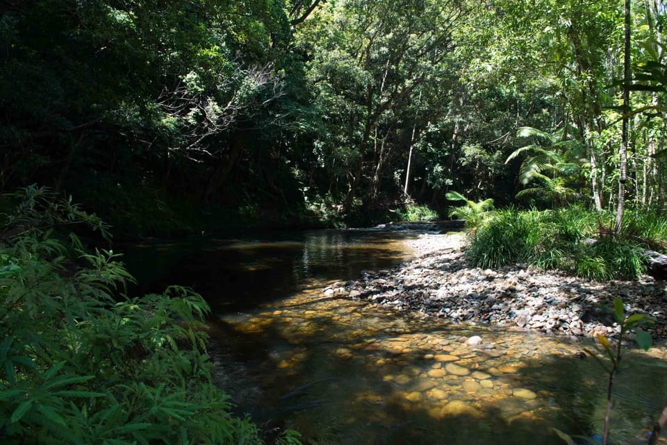 A natural pool