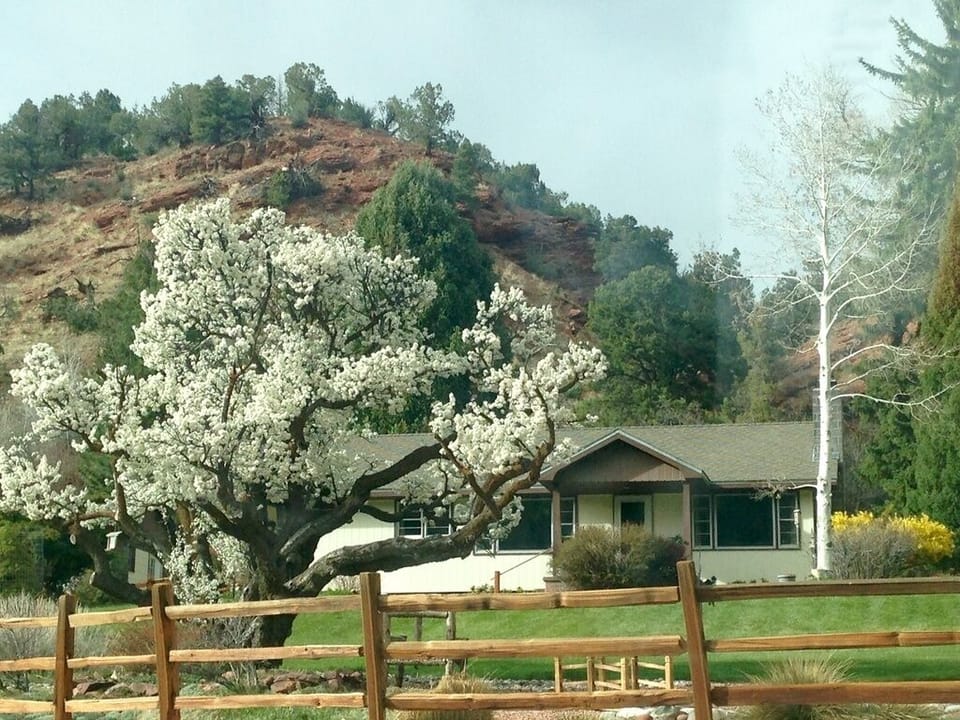 Welcome to your Colorado home away from home!