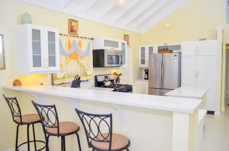Luxury Villa | Private kitchen | Fridge, microwave, stovetop, electric kettle
