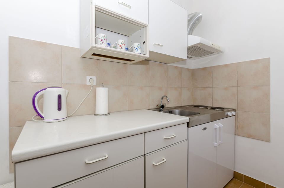 Apartment (A1) | Private kitchen | Fridge, microwave, stovetop, electric kettle