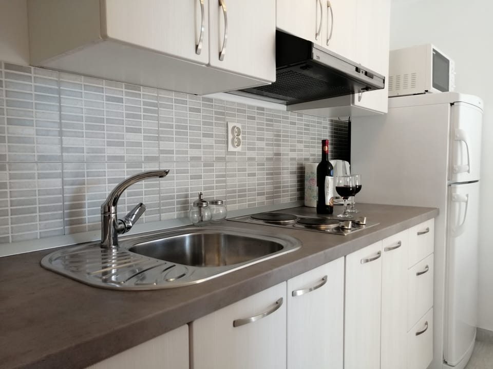 Apartment (A1) | Private kitchen | Fridge, microwave, stovetop, electric kettle