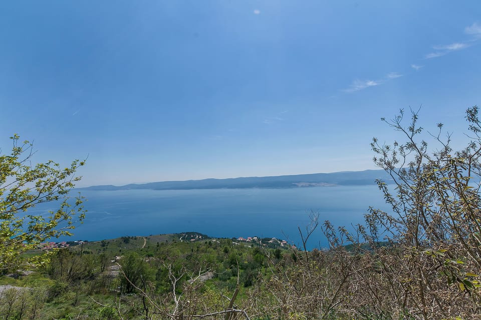 Lake view