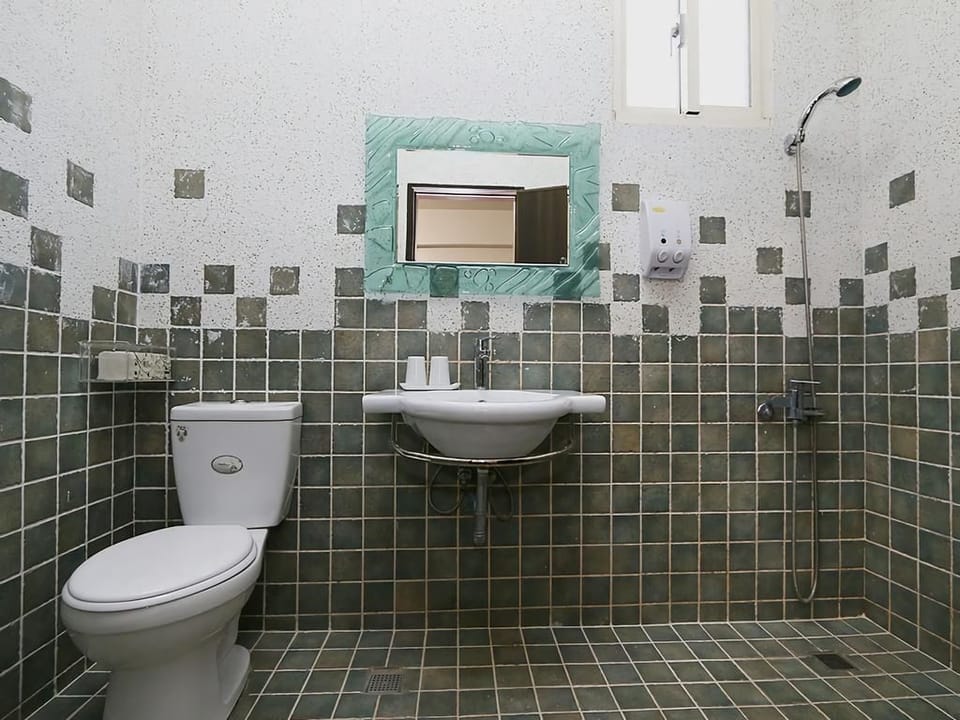 Deluxe Double Room | Bathroom | Shower, free toiletries, hair dryer, slippers