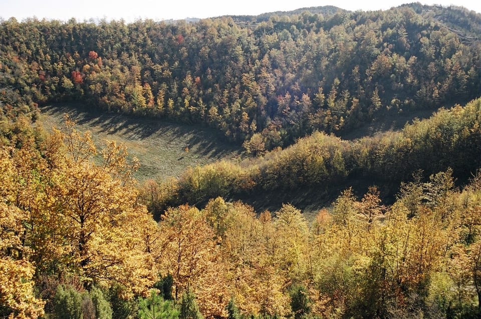 Hiking