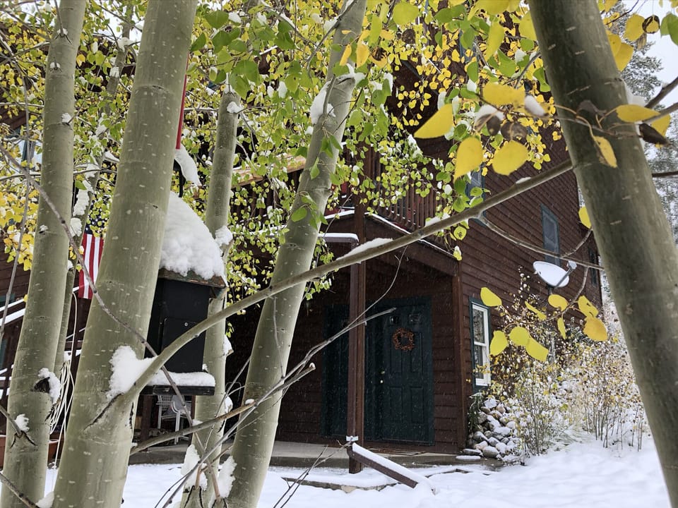 The first snow fall of the season!