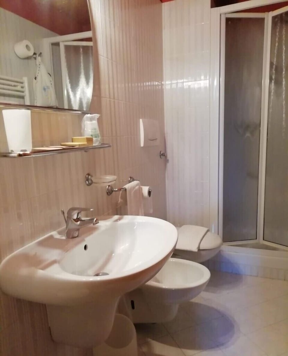 Shower, free toiletries, hair dryer, bidet