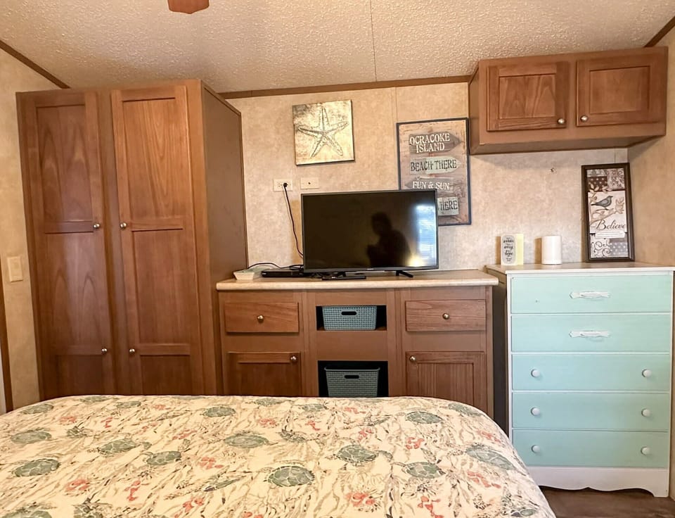 Primary Queen Bedroom with TV