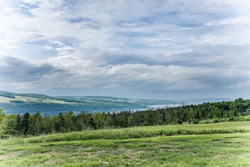 View of the fields below the house