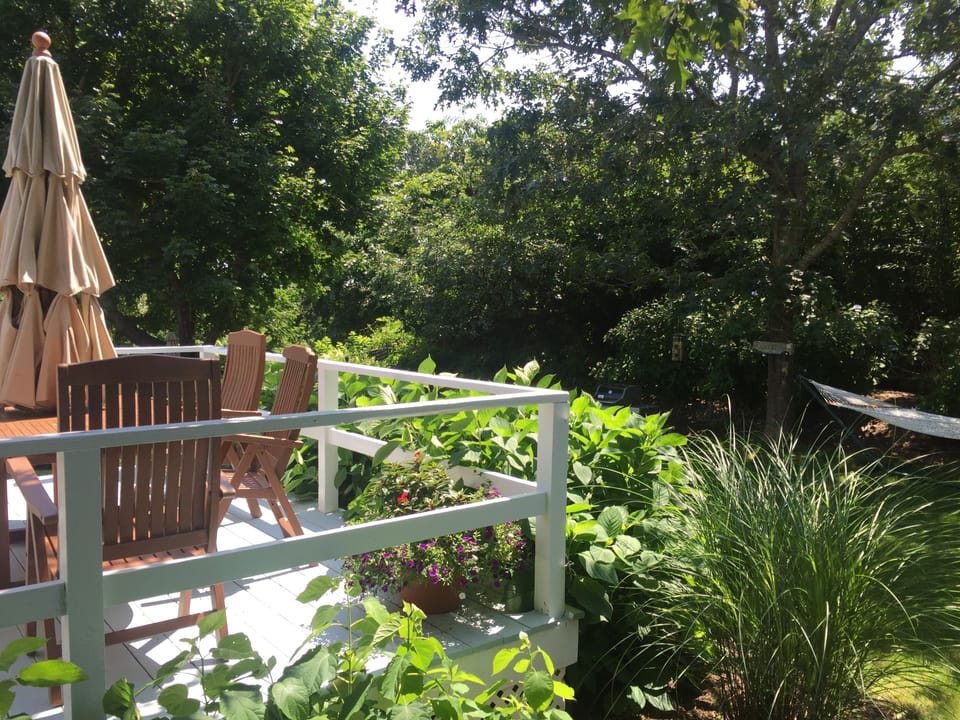 Deck off of Cottage overlooking backyard where you can hear the ocean waves.