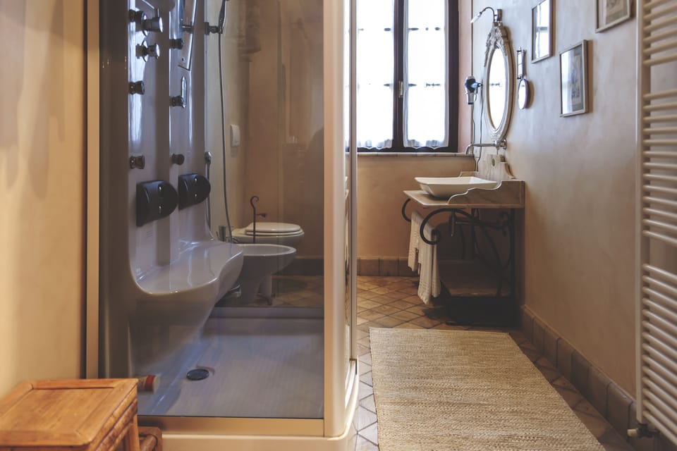 Deluxe Room | Bathroom | Shower, free toiletries, hair dryer, bidet