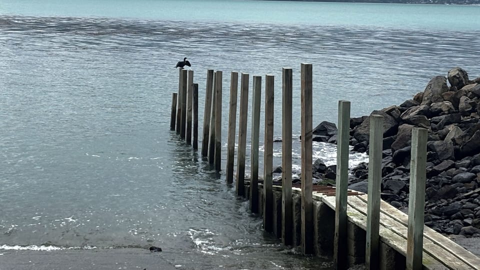 Wainui boat ramp