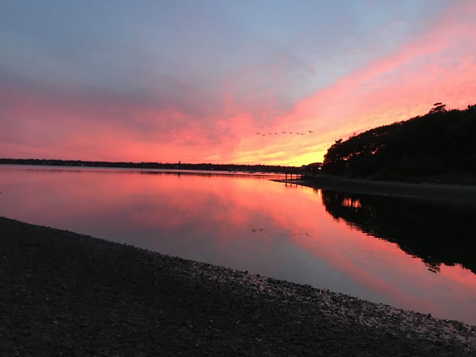 Sunset over private beach with Geese 