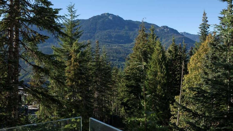 Beautiful forested views from this home
