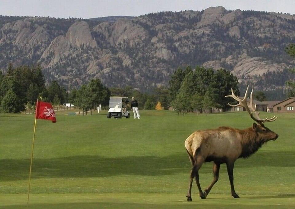 9 & 18 hole golf course