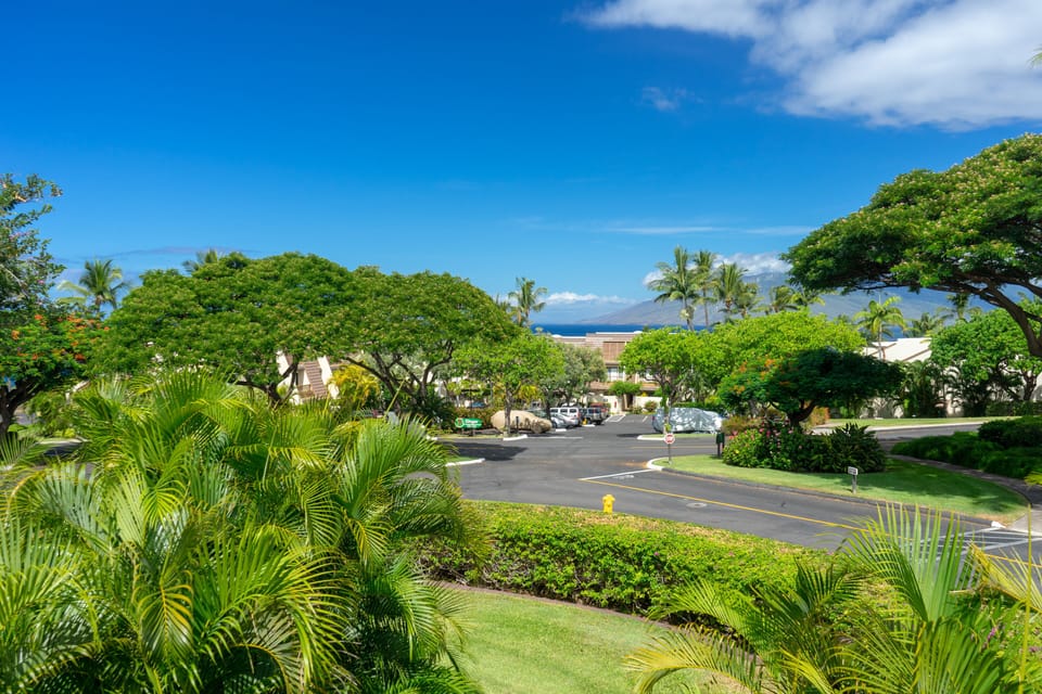 Tropical paradise neighborhood with lush landscaping, swaying palms, and ocean views framing the nearby residential area and scenic island setting.