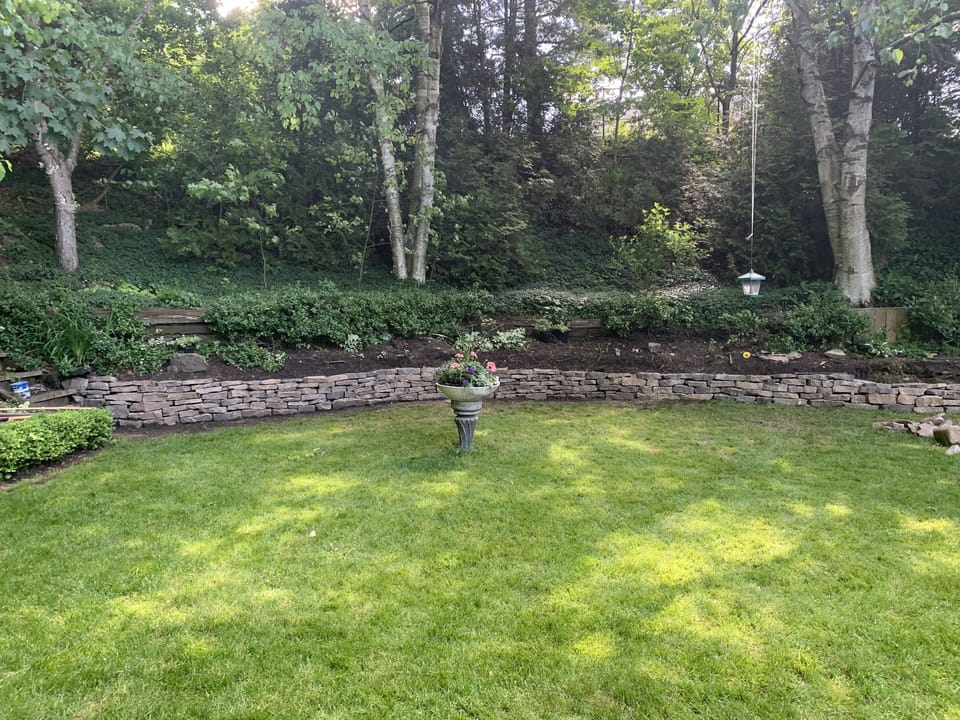 Backyard Oasis