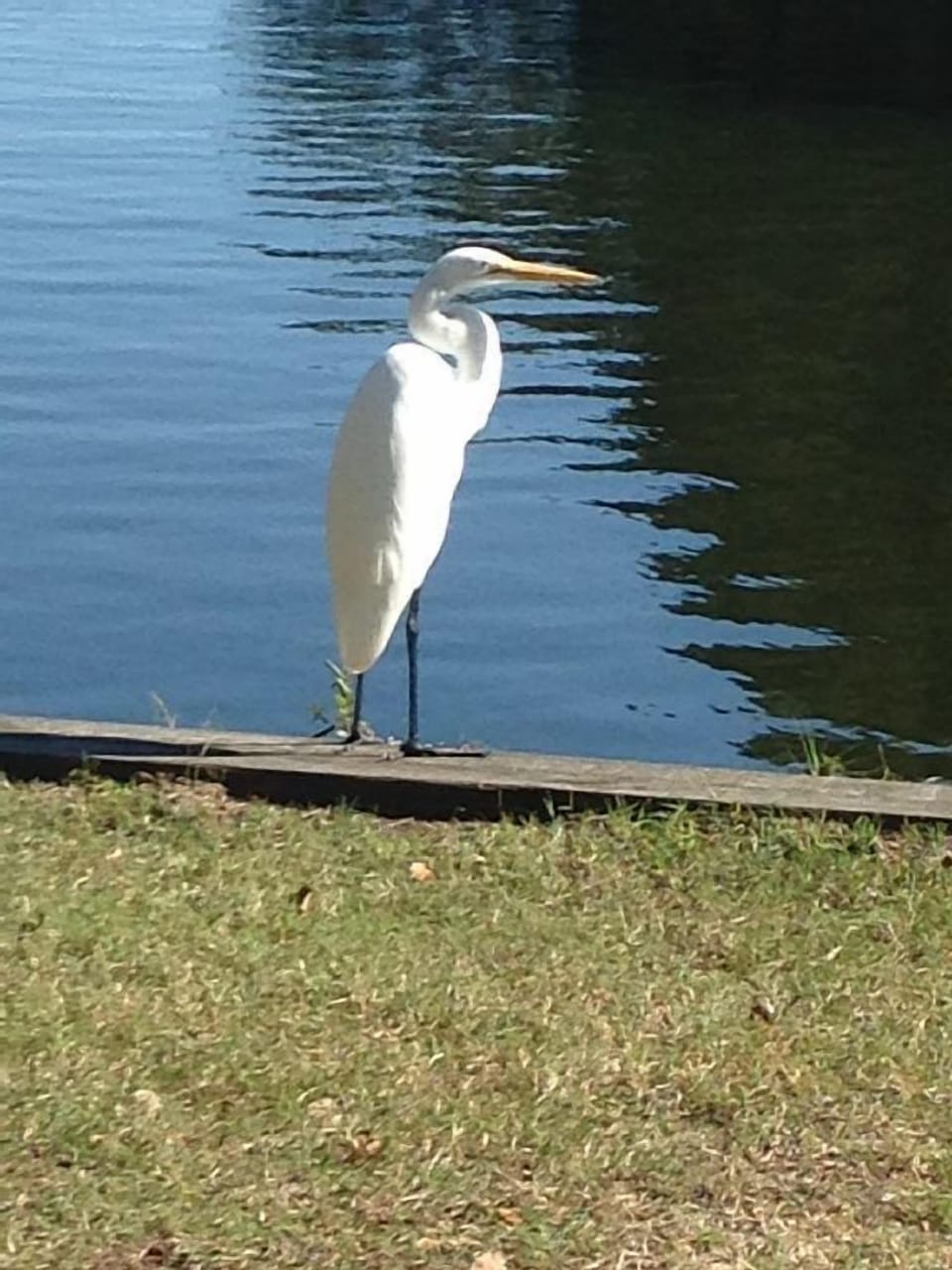 Beautiful fishing lakes